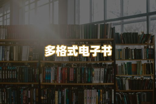 多格式电子书